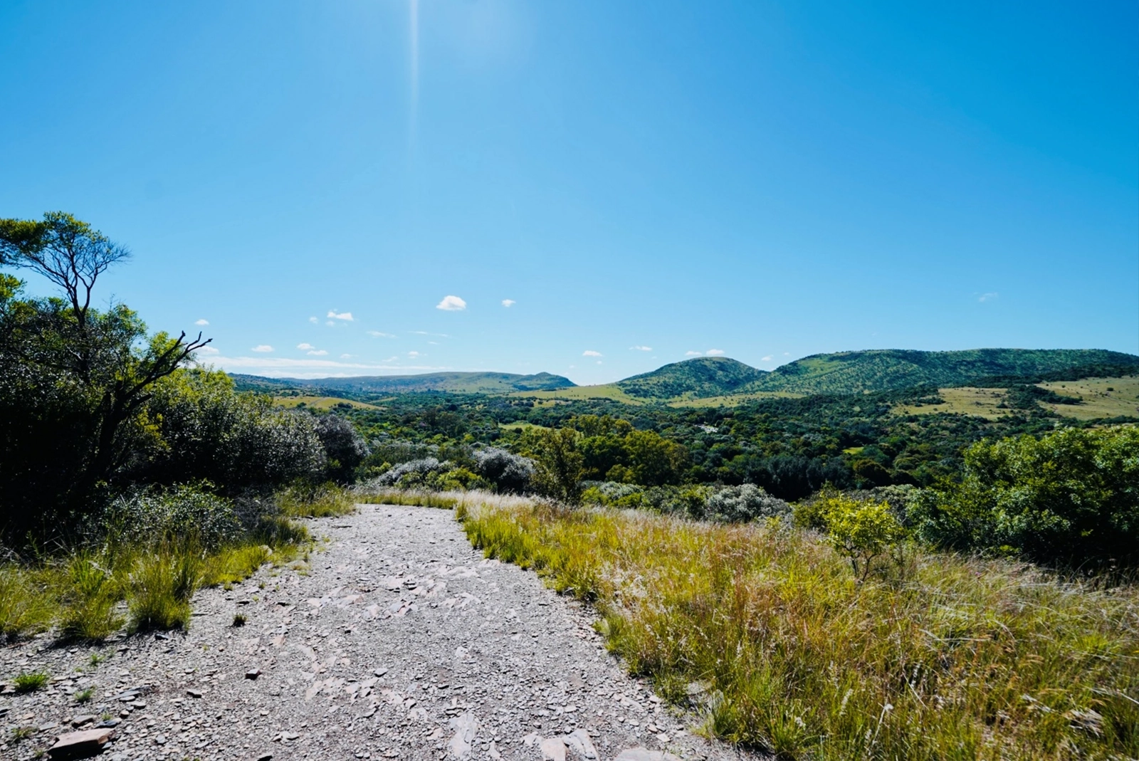 The Nimadic Path Hennops hiking Trail Gallery 2