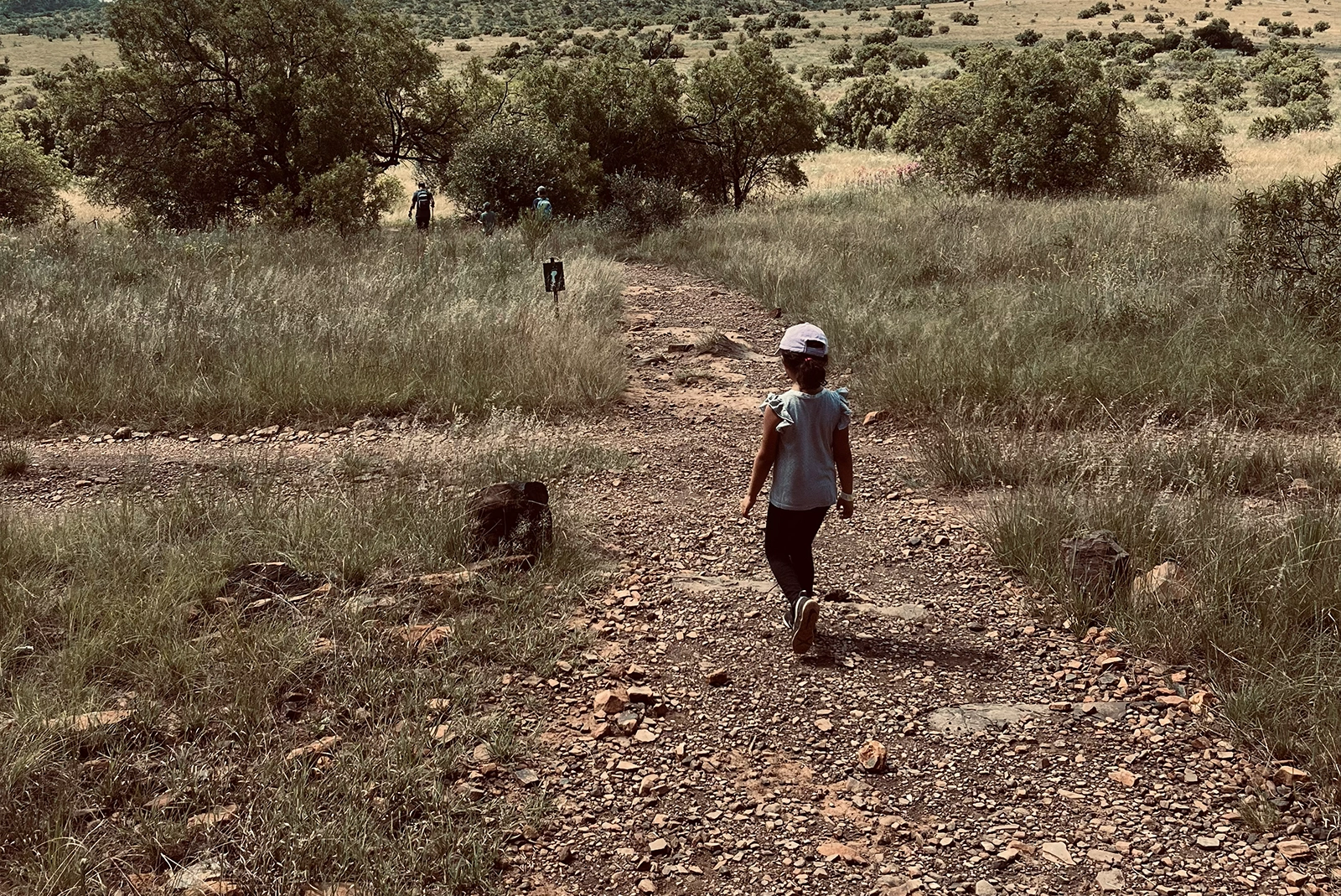The Nimadic Path Hennops hiking Trail Gallery 5