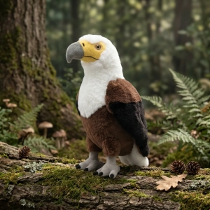 The African Fish Eagle - FEATHER FRIENDS