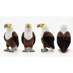 The African Fish Eagle - Feather Friends