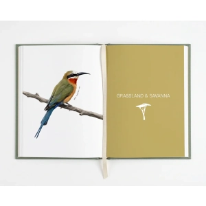 The Field Guide for Little Explorers - Feather Friends