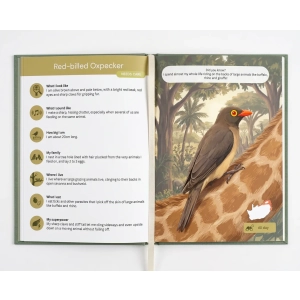 The Field Guide for Little Explorers - Feather Friends