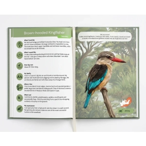 The Field Guide for Little Explorers - Feather Friends